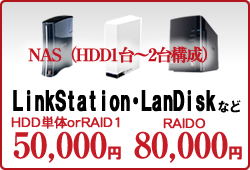 LinkStationELanDisk